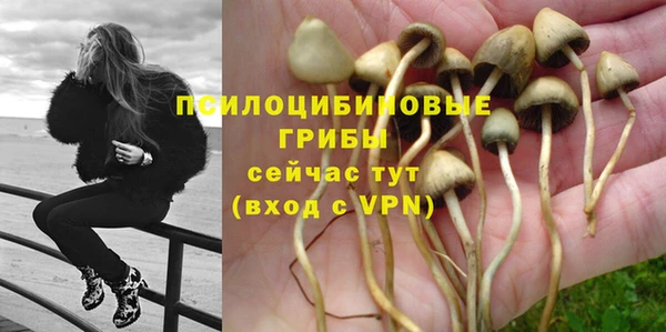 таблы Армянск