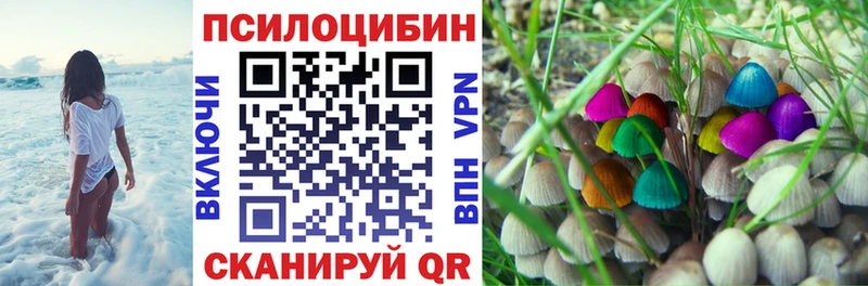 дарк нет Telegram  Оса  Галлюциногенные грибы мицелий  купить  