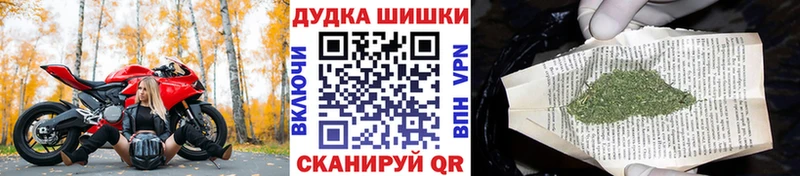 что такое   Оса  Каннабис White Widow 